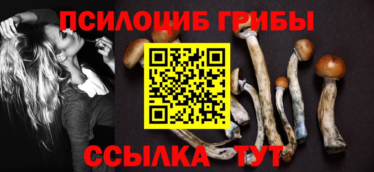 Псилоцибиновые грибы MAGIC MUSHROOMS Котовск